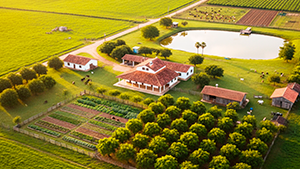 Irrigação por Pivô Central: Como Esse Diferencial Valoriza uma Fazenda